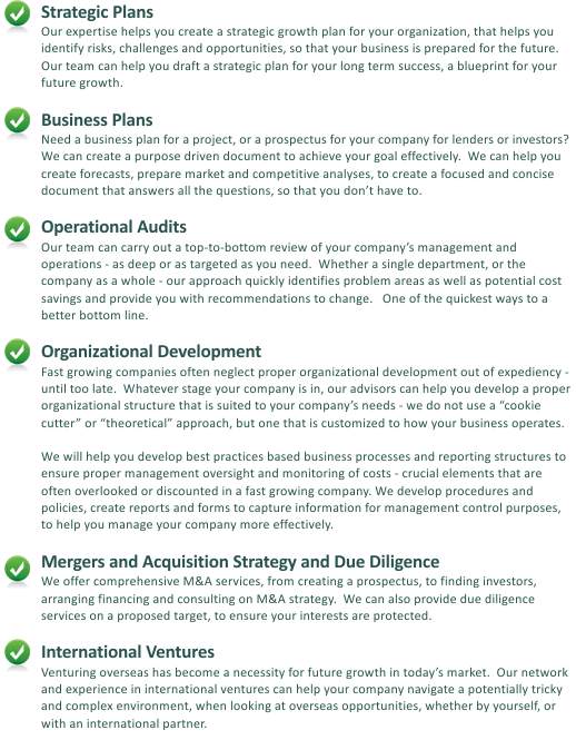  Strategic Plans, Business Plans, M&A Advisory, Due Diligence, Operational Audits, Organizational Development and Financial Controls, International Ventures