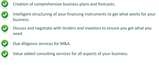 Creation of comprehensive business plans and forecasts, Due diligence services for M&A, Value added consulting services for all aspects of your business.